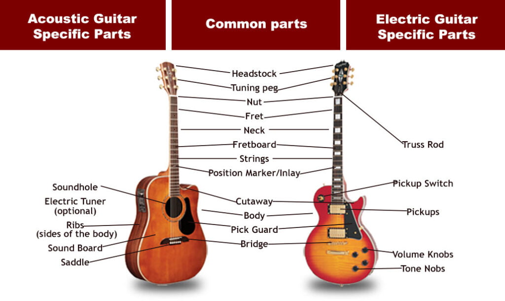 Parts Of Guitar Anatomy