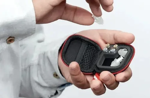Alpine Earplugs