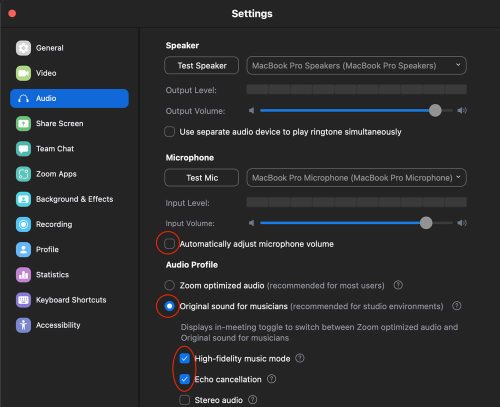 Zoom Musician Settings